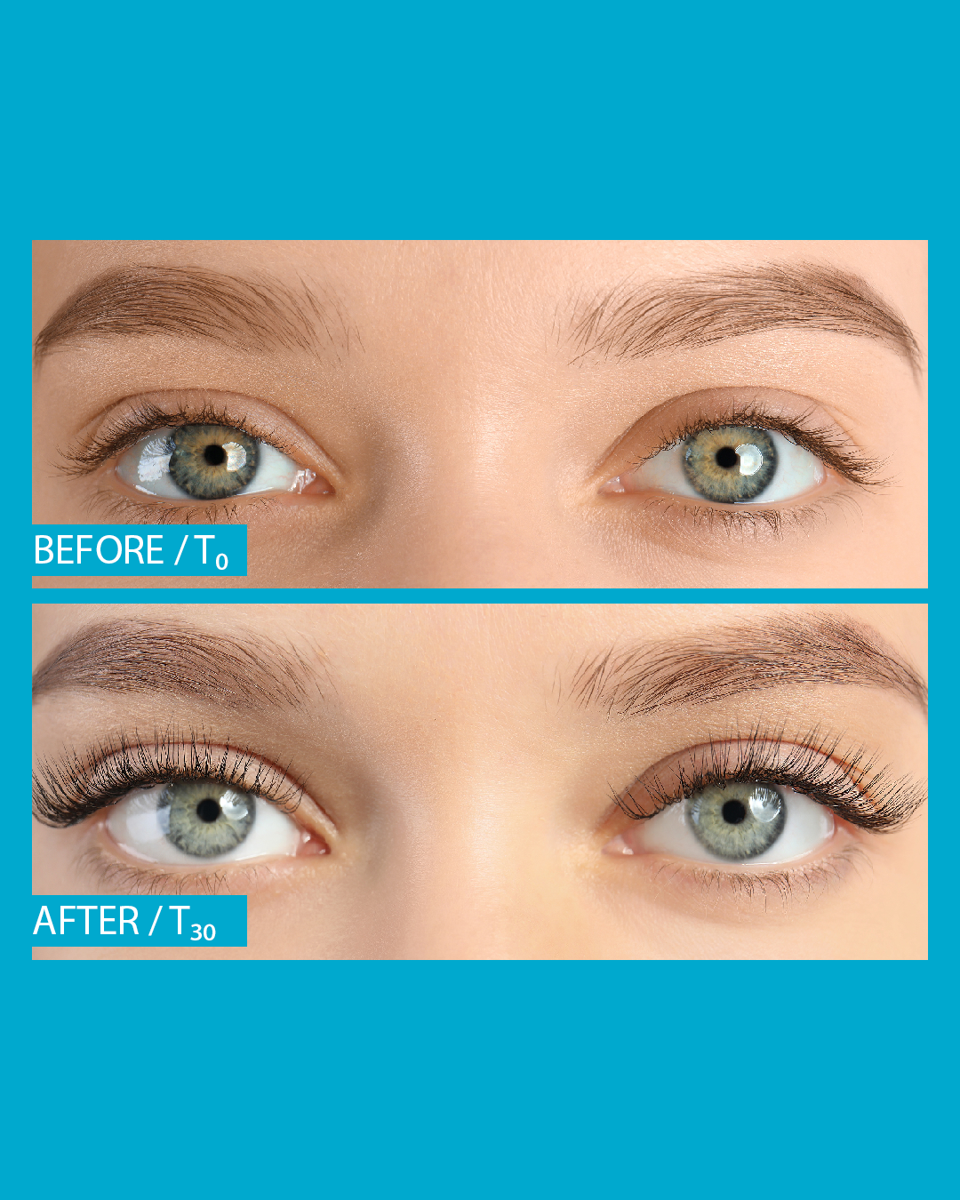 Eyelash/Eyebrow Enhancer Serum
